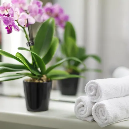 Готель Coronado Цюрих