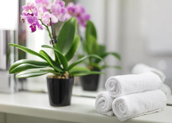 Hotel Coronado Zurich